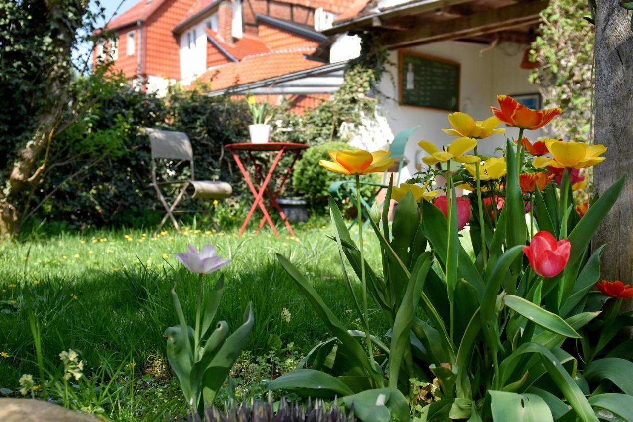 Apartmenthaus Duderstadt Bagian luar foto